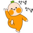 비오비집