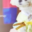 오스카스튜디오 네이버블로그