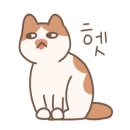 카페하인츠 이미지