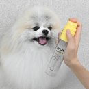 털보신집