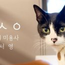 고양이미용사 임서영 이미지