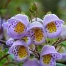 반포삼정공인중개사사무소 이미지