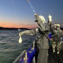 당진호스릴-14 | [쭈꾸미, 갑오징어] 10월 당진 장고항 쭈꾸미, 갑오징어 오후 선상낚시 조행기 (충남 당진 오후 짬낚시...