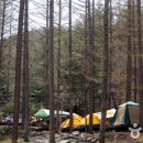 [(레저)] 때묻지 않은 숲속 7성급 오토캠핑장, 청옥산자연휴양림캠핑장|▣-------- 여행 정보방 이미지