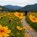 구미강정 이미지