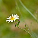 삼락강변공원 이미지