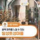 달성토성마을 다락방 작은도서관 | 숨겨진 대구 명소 달성토성마을에서 골목 정취 느끼기