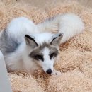 덕진체련공원 테니스장 이미지