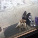 재철농장 이미지