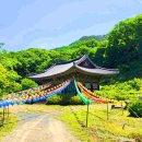 옥포 명적암 돌배나무 보호수 - 용두봉 산행 ( 대구, 달성) 이미지