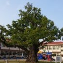 청안초등학교 이미지