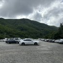 지리산천상화원 | 강원도 인제 천상의 화원 점봉산 곰배령 예약 및 다녀온 후기