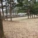 봉산농장 Daum카페