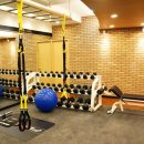 테리GYM 이미지