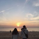 보령청과 | [충남 여행] 태안에서 1박 2일 보내기 :: 충청수영성 :: 대천해수욕장