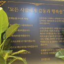 신탄정육점 | 신탄진 맛집 '성채숯불구이 2호점'