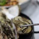 통영굴찜 이미지