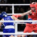 복싱아레나 이미지