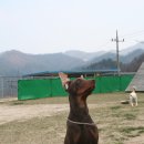 깐족쟁이 이미지