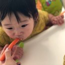 송이진푸드 네이버블로그