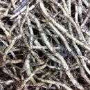 백산건강 이미지