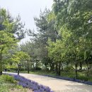 정발산공원 산책로 입구 이미지