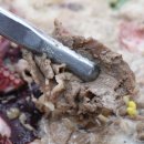 기장해물 이미지