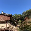 안동문화의집작은도서관 | [2박3일 가을 영주여행] 영주시 근처 안동 도산서원 방문 후기