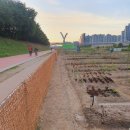 금천농장 이미지