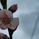 삼화2리 이미지