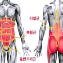 근육다짐 이미지