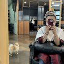 살롱드엘렌 - 동구 | 살롱드엘렌