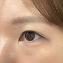 아르지아 이미지