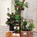 24시 팔용feel동물병원 | 전국 24시 동물병원 현황