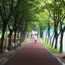 마들근린공원 이미지