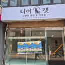 디어캣 | [공지] DEAR CAT 디어캣 | 동성로 신규 고양이카페 추천, 개냥이 천국 디어캣 후기