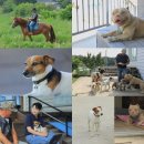 독불장군 이미지