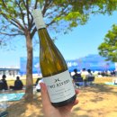 블랑(BLANC) | 안소희 추천 와인 투 리버즈 소비뇽 블랑 2024 후기(Two Rivers Sauvignon Blanc 2024)