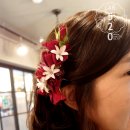 오이공스튜디오