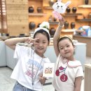 1박2일 Daum카페