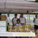 서정초교 이미지