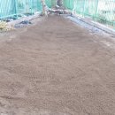 라엘어린이집 놀이터 이미지