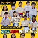 용인대 태풍 태권도장 이미지