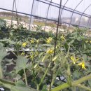 (주)휴팜 이미지