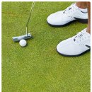 고흥장수골프연습장 이미지