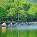 신선지낚시터 이미지