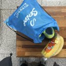 봉두공원 미니풋살장 | 리어스컵 여자풋살대회 풋린이부 후기 @영등포 양평누리 제1축구장