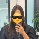 제주아씨 | 제주 노형동 미용실 아씬 고하이디자이너에게 씨컬펌 받고 온 후기