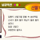 남궁익선「산딸기」 Daum카페