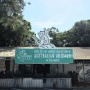 나무늘보,요정 | 시드니 근교 블루 마운틴 투어 | 페더데일 동물원 마감런 후기 쿼카 코알라